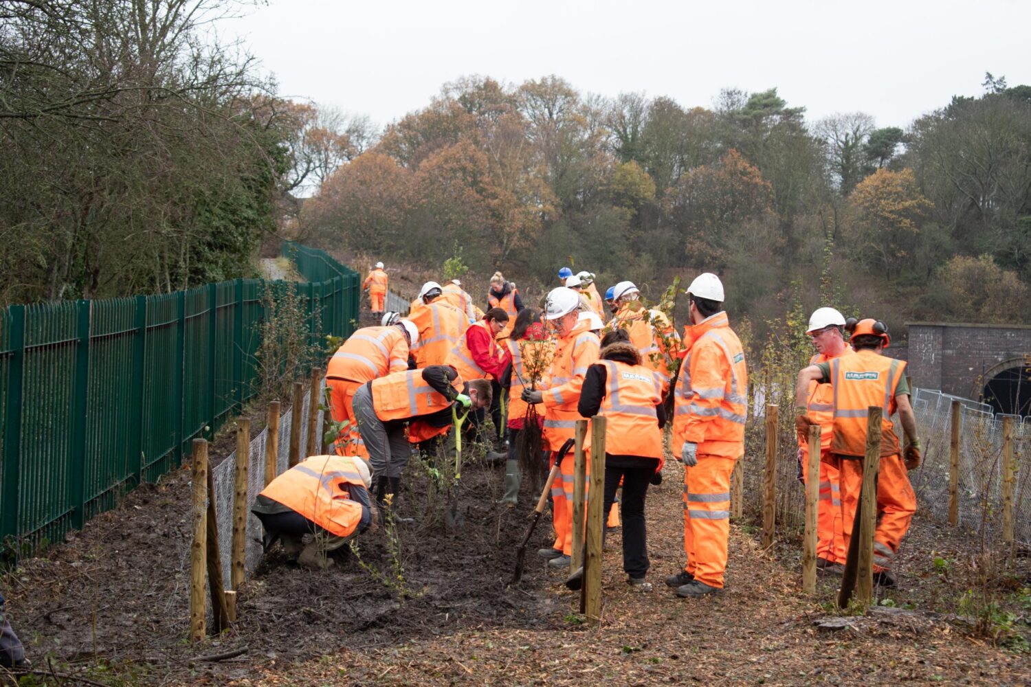 Hadley Wood Planting