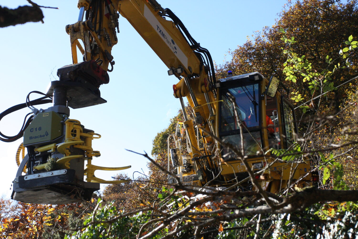 An industrial vehicle clearing vegetation